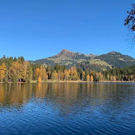 아파트 Brandacher