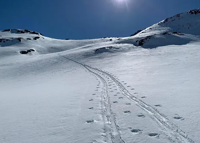 Brandacher * Rohrberg